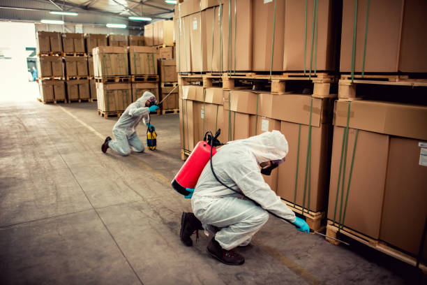 Wasp Removal Services in West Columbia, SC