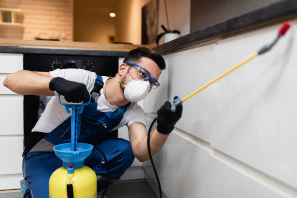 Best Pest Removal Services  in West Columbia, SC