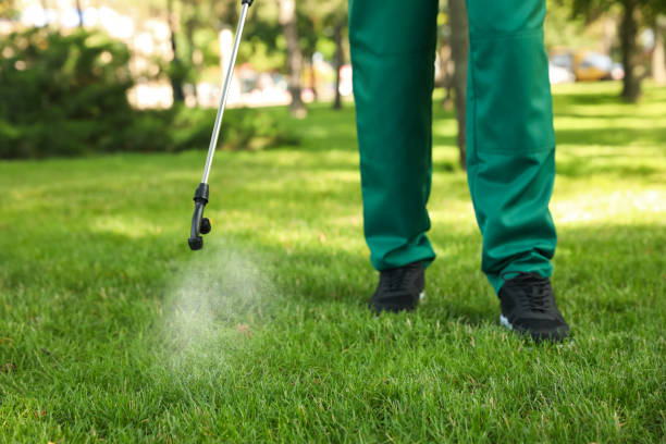 Best Mosquito Control Services  in West Columbia, SC