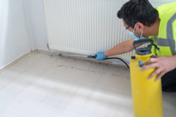 Best Pest Control Near Me  in West Columbia, SC